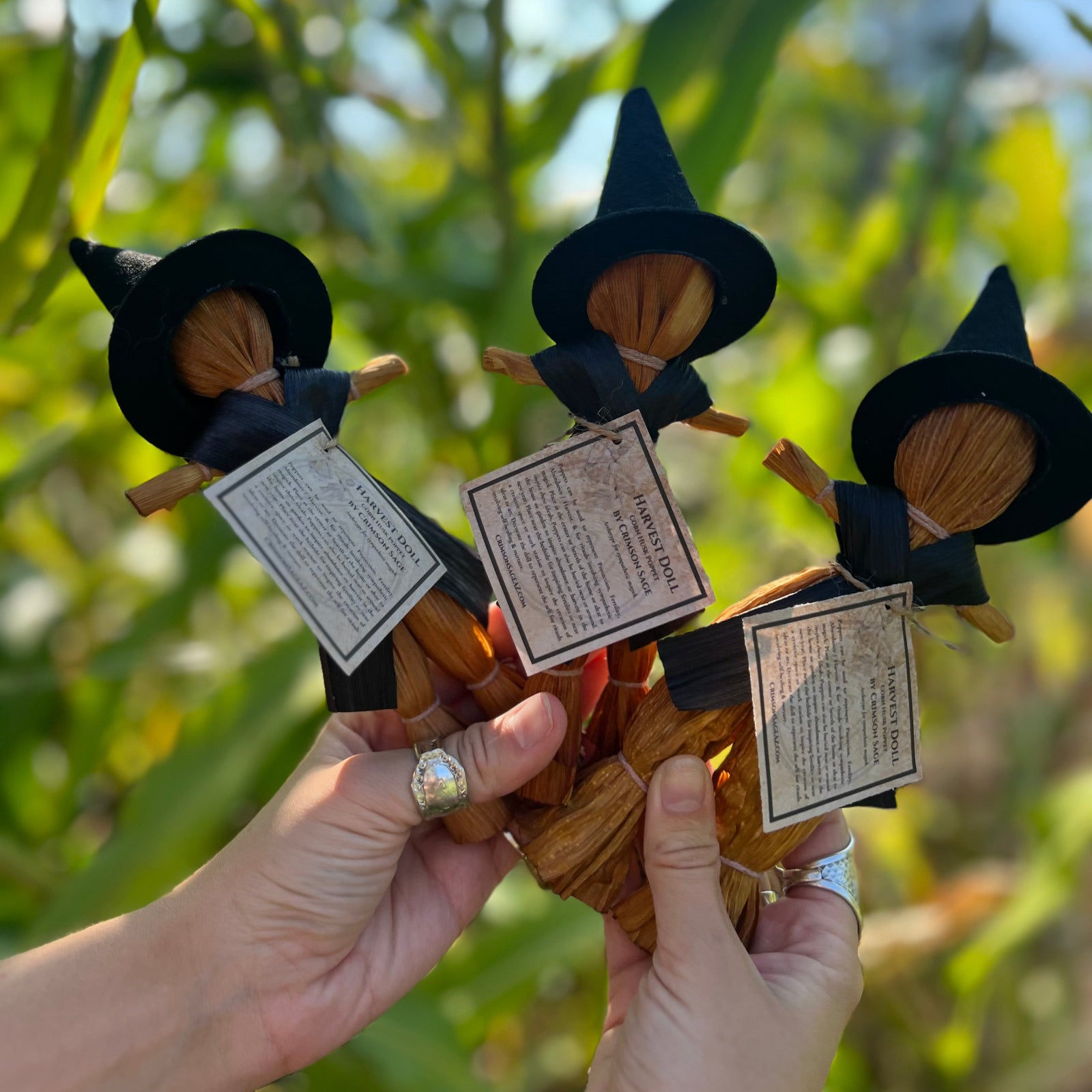 Someone holding three of the Witch Samhain Folk Corn Husk Poppet Dolls in front of greenery.