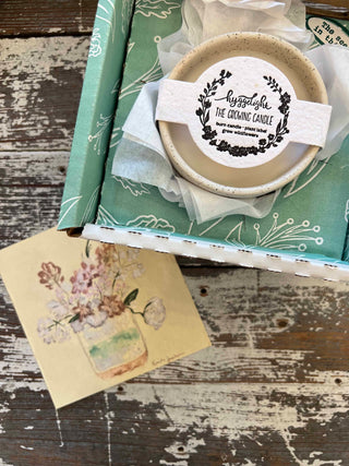 Growing Candle - Ceramic Soy Candle