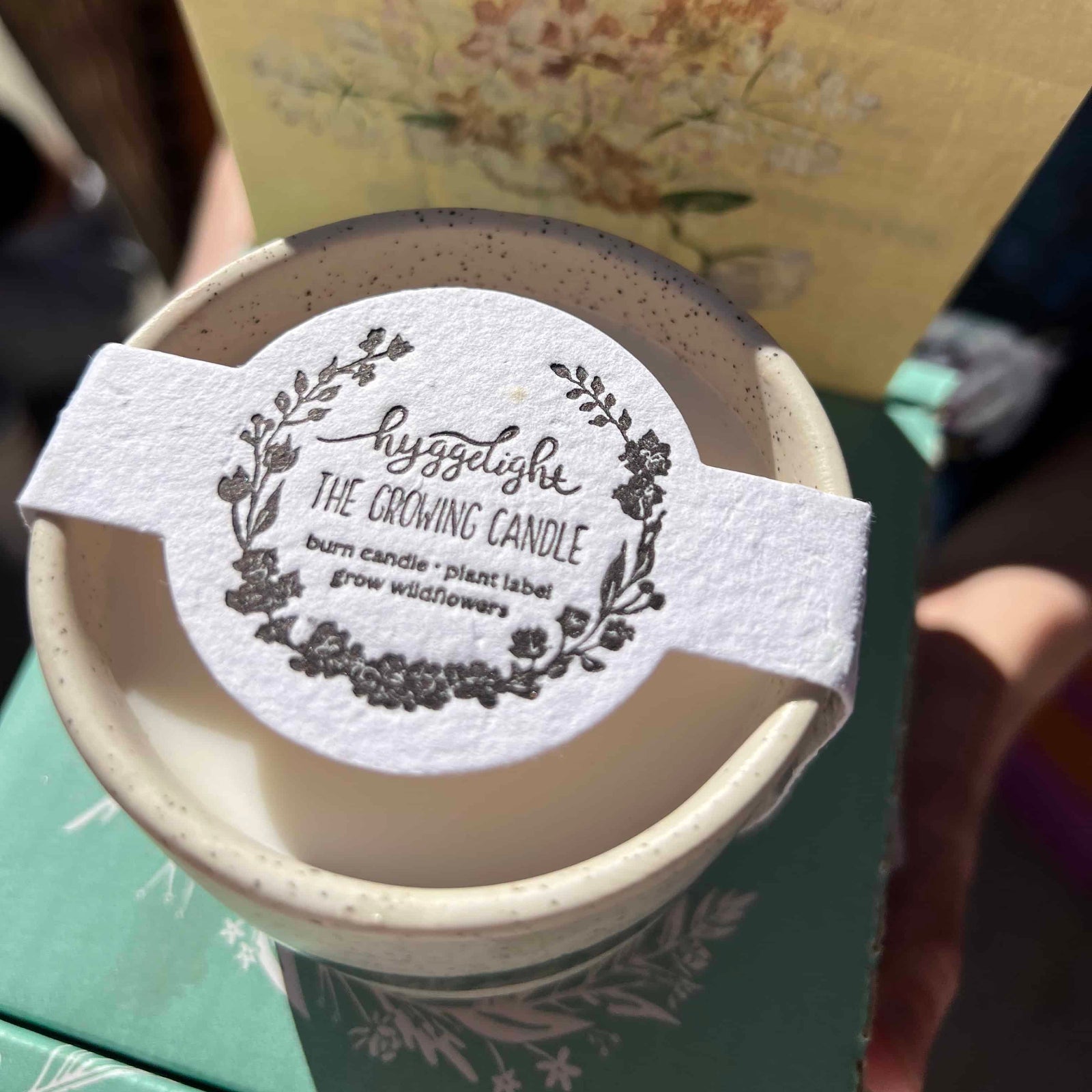 Growing Candle - Ceramic Soy Candle