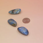 Blue Kyanite stones next to a US quarter for size reference