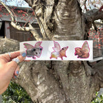 Possum Fairy Die-Cut Stickers – 3 Pack