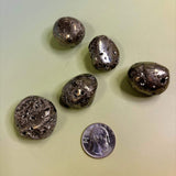 Pyrite Crystal Tumbled Stone on greenish background with quarter for size reference