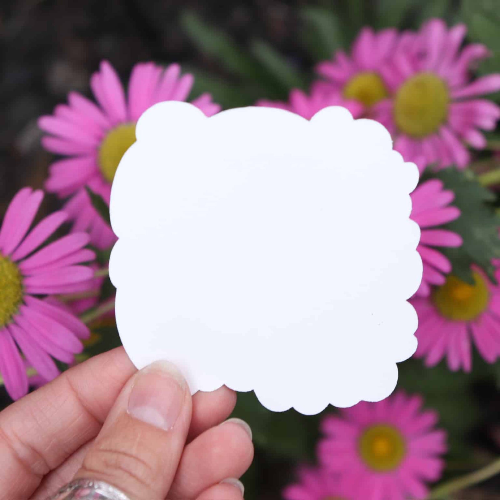 Hand holding a white sticker with pink flowers in the background