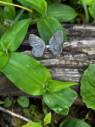 Butterfly Ring on a leaf with a natural background of green leaves and wood.