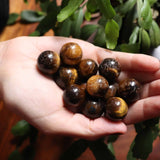 Hand holding tiger's eye stones with a plant in the background