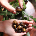 Person holding a collection of tiger eye stones with green leaves in the background