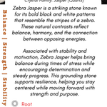 Information card about Zebra Jasper crystal with text and Boho Depot logo.