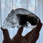 Crystal Alien Skull - Lodolite