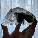 Crystal Alien Skull - Lodolite