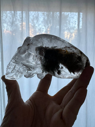 Crystal Alien Skull - Lodolite