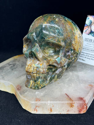 Ocean Jasper Healing Crystal Skull