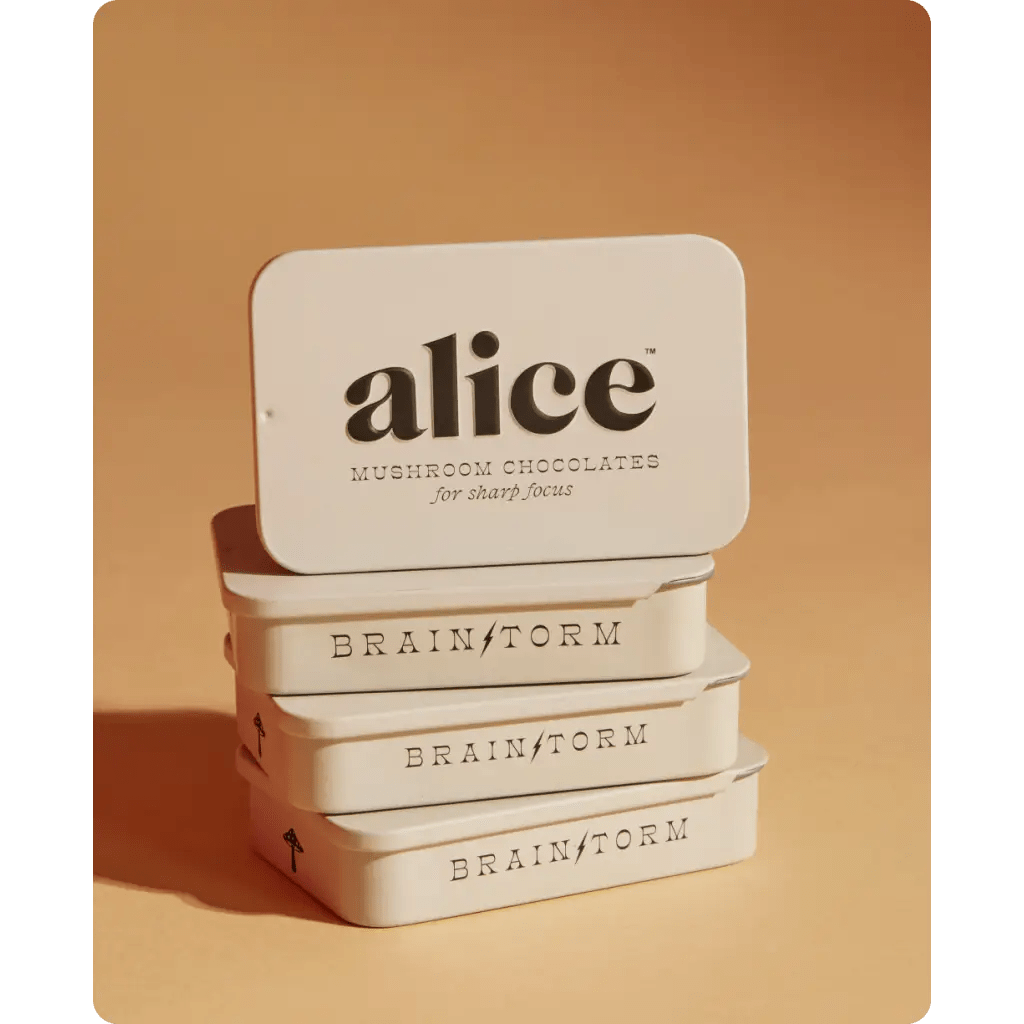 Mushroom Chocolates for Focus by Alice Mushrooms