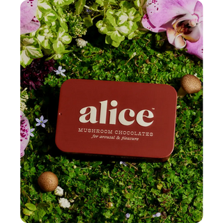 Alice Mushrooms - Happy Ending - mushroom chocolate