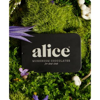 Alice Mushrooms - Nightcap — mushroom chocolates for deep