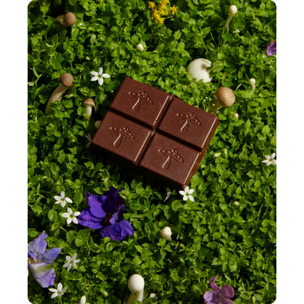 Alice Mushrooms - Nightcap — mushroom chocolates for deep