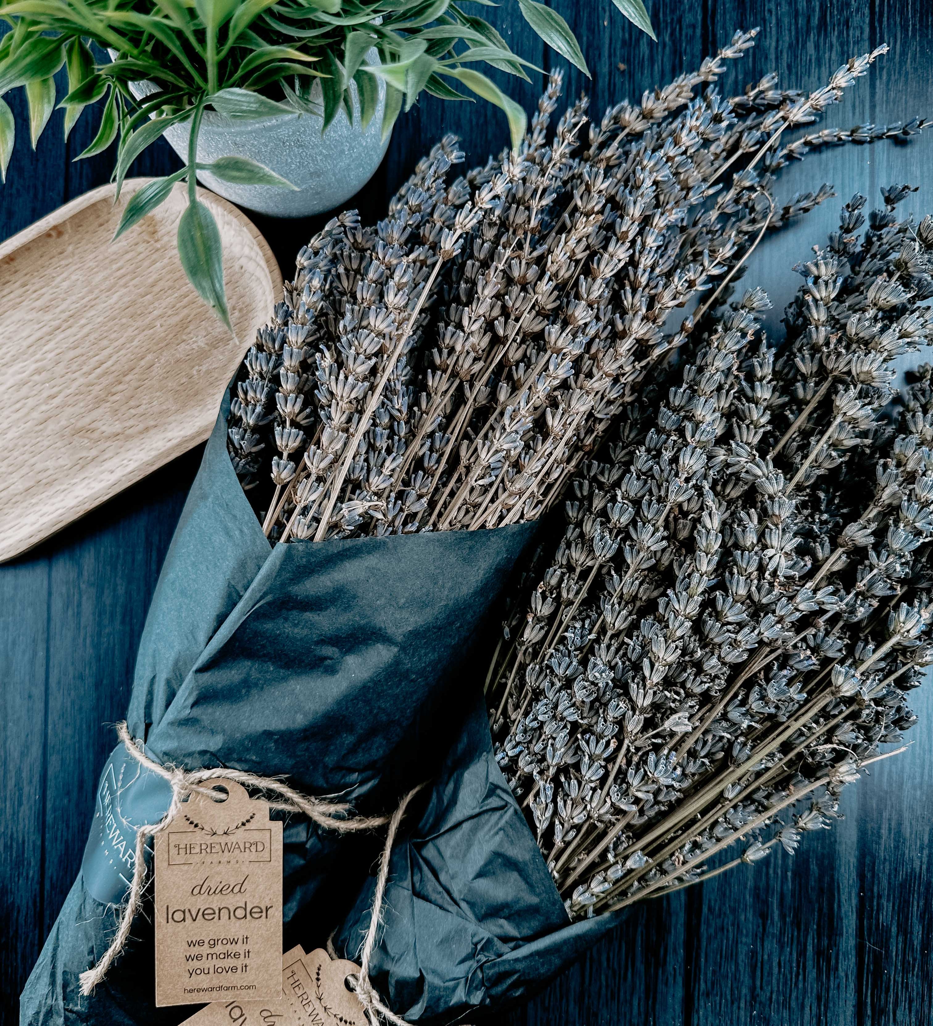Dried French Lavender Bunches