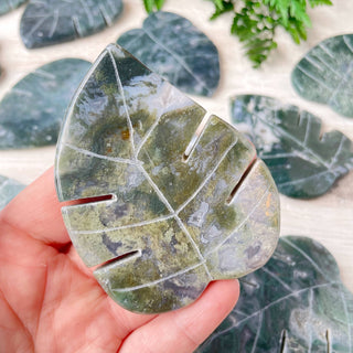 Moss Agate Monstera Leaf Carving