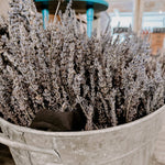 Dried French Lavender Bunches