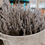 Dried French Lavender Bunches