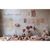 The Flower Hunter Book