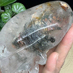 Crystal Alien Skull - Lodolite