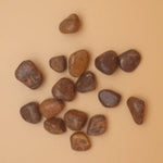 Calligraphy Stone Crystal Tumbled Stone - Crystals