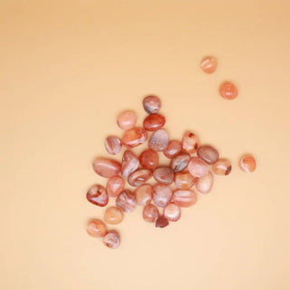 Carnelian Crystal Tumbled Stone - Large - Crystals