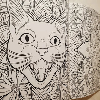 Cats & Plants Coloring Book