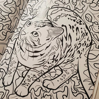 Cats & Plants Coloring Book