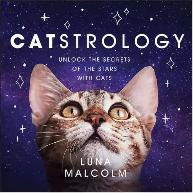 Catstrology: Unlock the Secrets of Stars with Cats