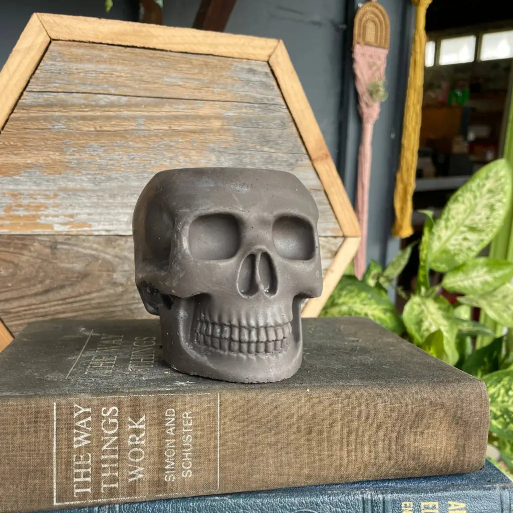 Concrete Skull Planter - Charcoal