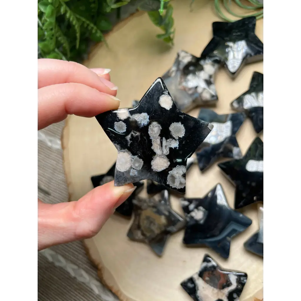 Black Flower Agate Crystal Star