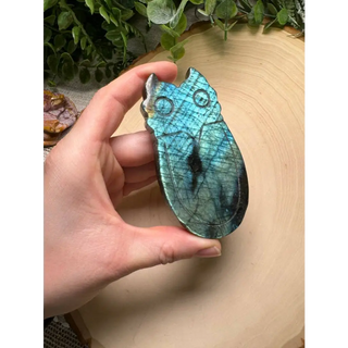 Labradorite Owl