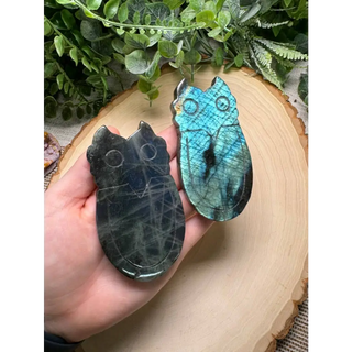 Labradorite Owl