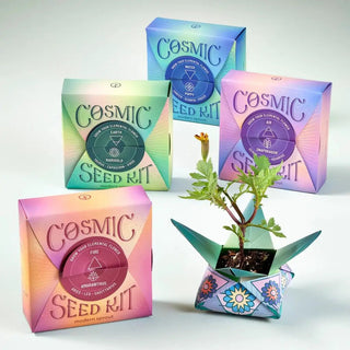 Cosmic Seed Zodiac Kit - The Boho Depot