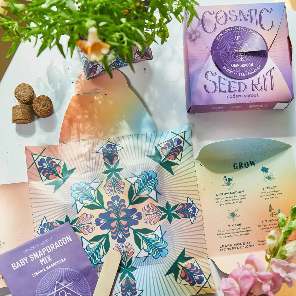Cosmic Seed Zodiac Kit