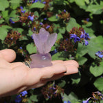 Hand holding a small purple fluorite crystal butterfly against a natural background with green leaves and flowers.
