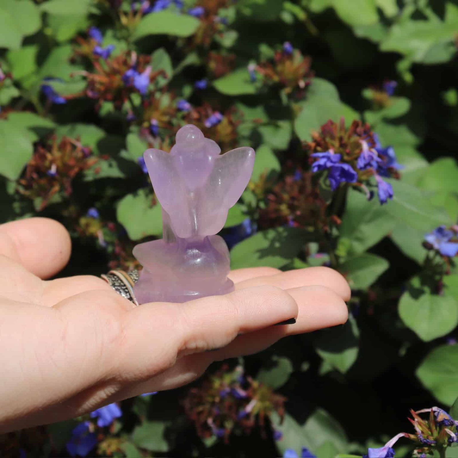 Hand holding a small purple fluorite crystal butterfly against a natural background with green leaves and flowers.