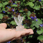 Crystal angel figurine held in a hand with a natural background of green leaves and purple flowers