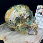 Ocean Jasper Healing Crystal Skull