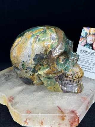 Ocean Jasper Healing Crystal Skull