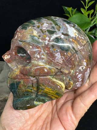 Crystal Skull - Ocean Jasper