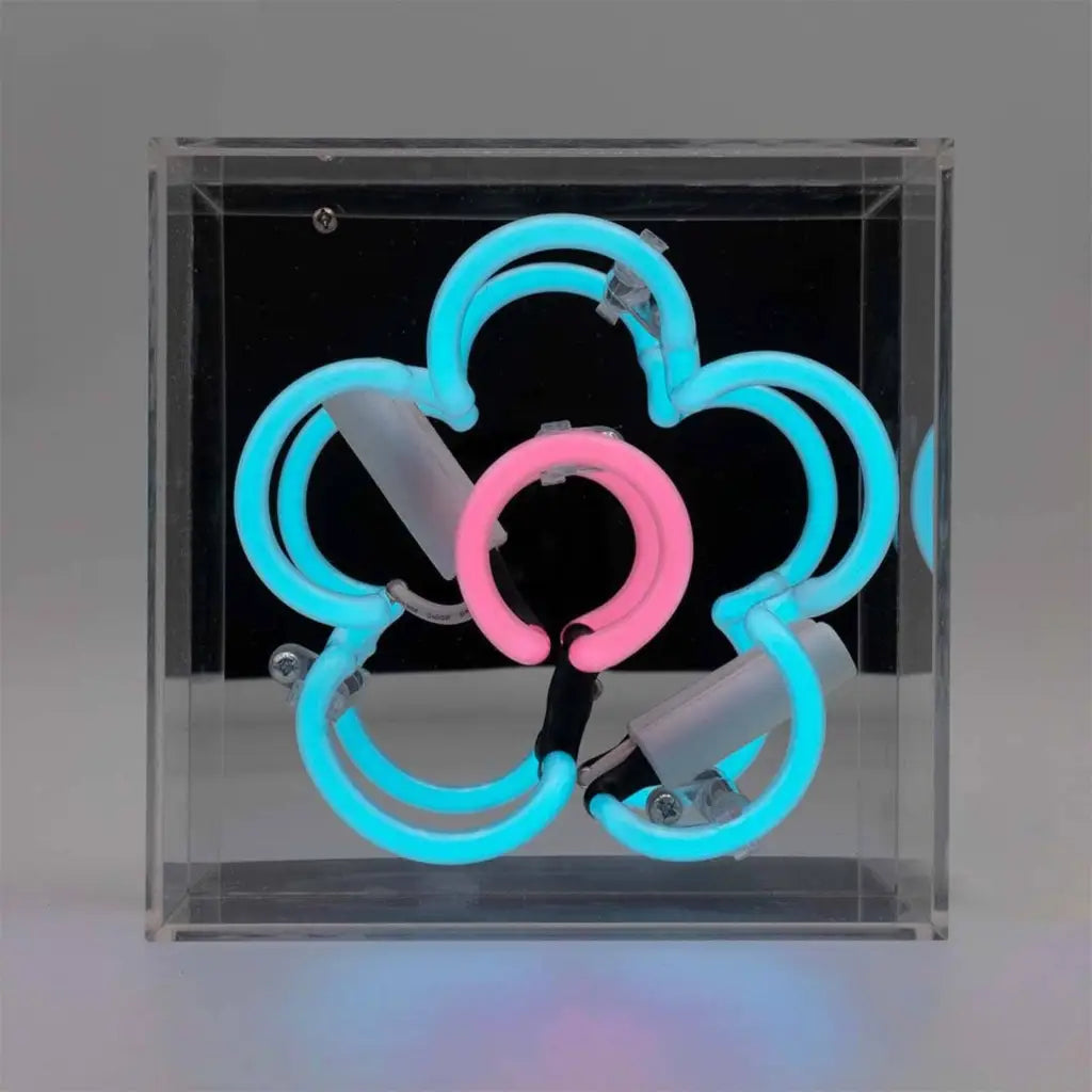 ’Daisy’ Mini Acrylic Box Neon Light - Blue