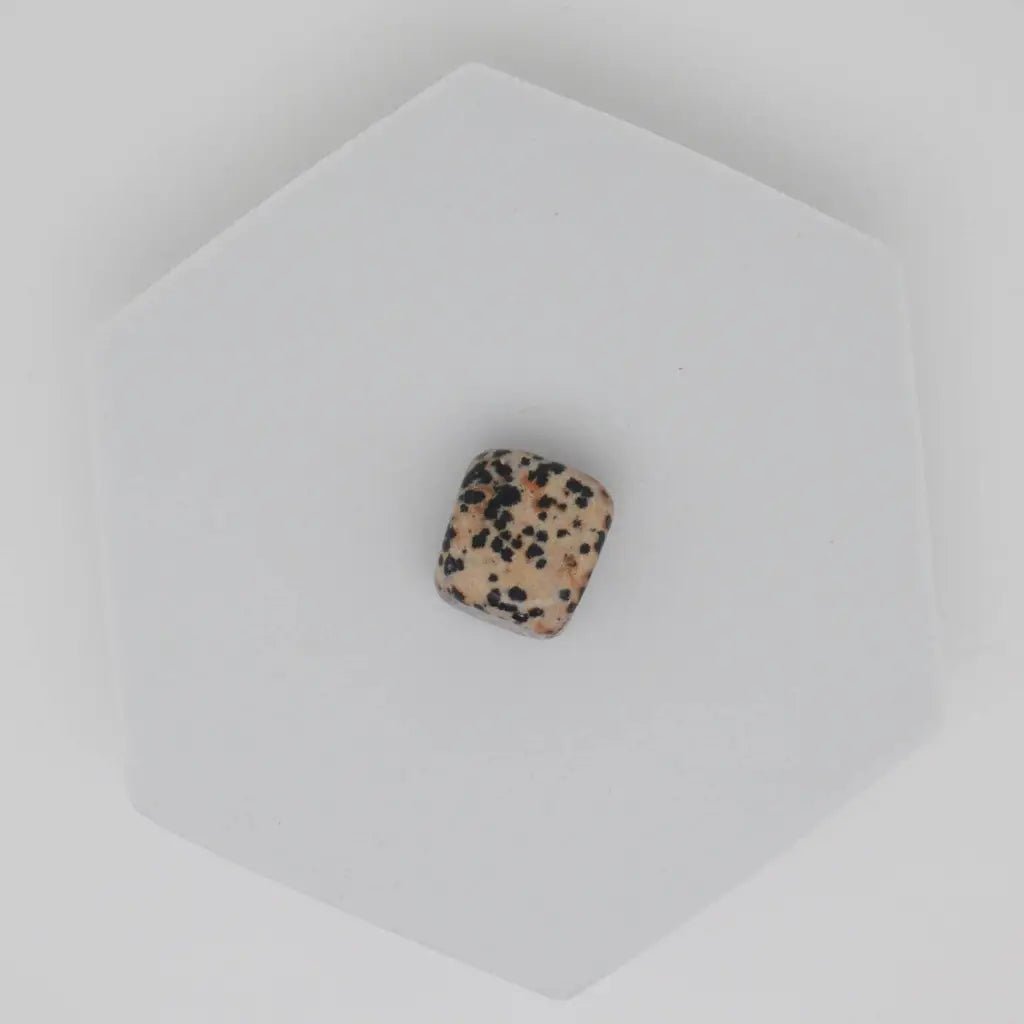 Dalmatian Jasper Crystal Tumbled Stone - Crystals