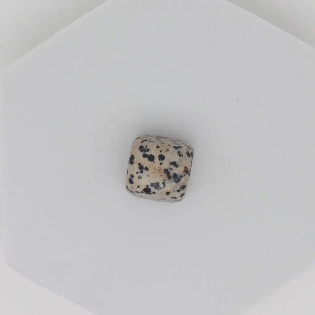 Dalmatian Jasper Crystal Tumbled Stone - Crystals