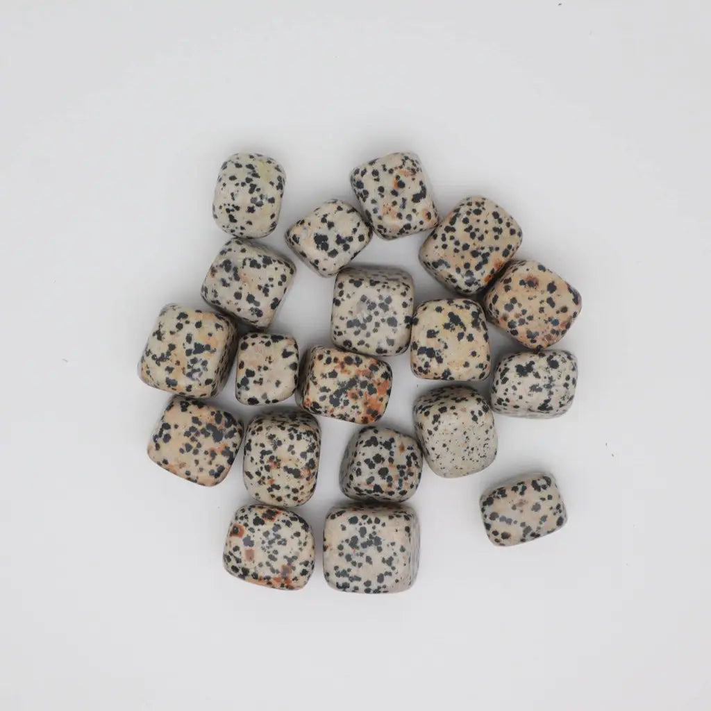 Dalmatian Jasper Crystal Tumbled Stone - Crystals