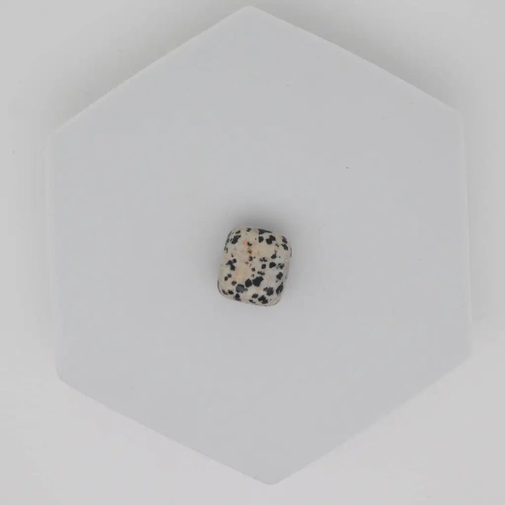 Dalmatian Jasper Crystal Tumbled Stone - Crystals