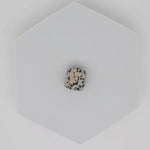 Dalmatian Jasper Crystal Tumbled Stone - Crystals