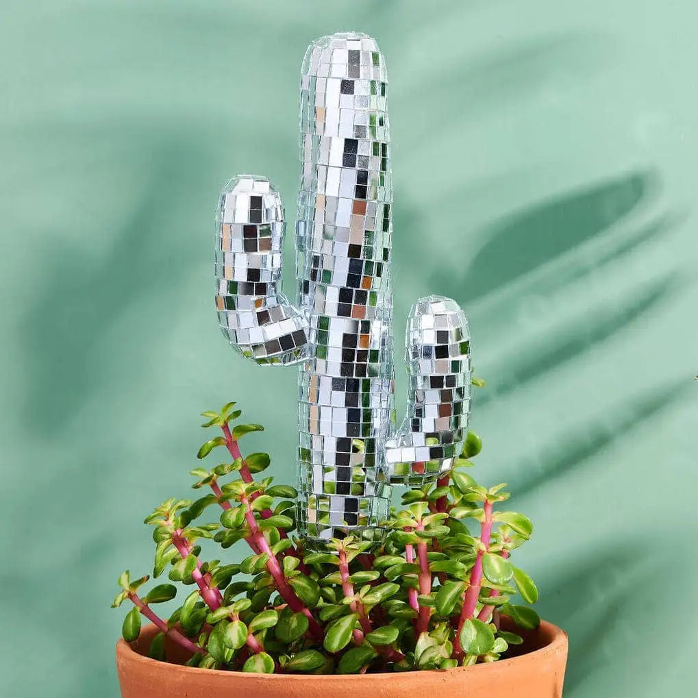 Disco Cactus - Ball Decorative Plant Stakes
