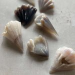 Druzy agate sea shell crystal with natural sparkling druzy quartz formation